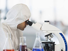 Fungal toxin and pollutant detection